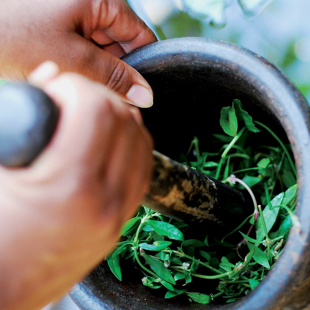 Ayurveda